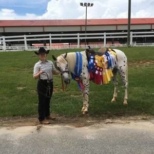 Meet your Posher, Norlene